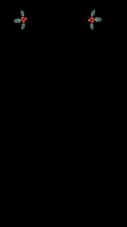 A1 Raman mubarak