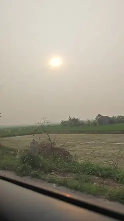 Chúc mừng bạn đã thi