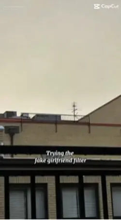 Fake girlfriend filt