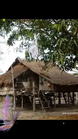ชีวิต