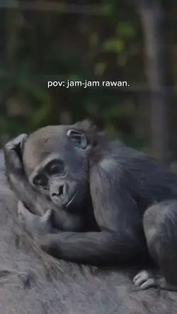pov : jam jam rawan