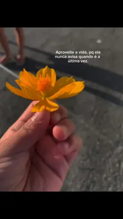 aproveite cada dia