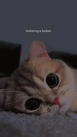 Indahnya bulan 