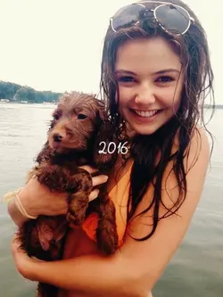 2016 vs 2026