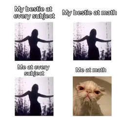 Bestie/me
