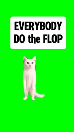 EVERYBODY DO THE FLO