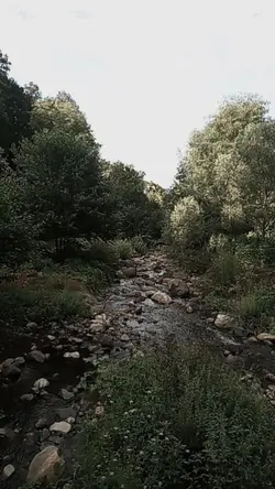dere akar asaga 