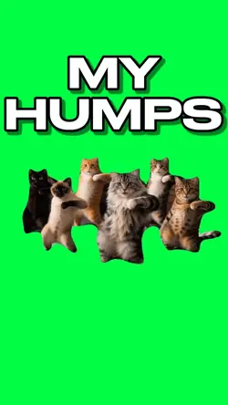 MY HUMPS CAT DANCE