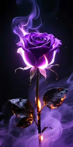 Live wallpaper