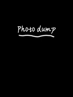 photo dump