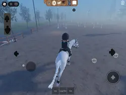 new horse!