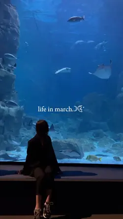 life in march