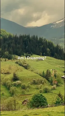 AM I DREAMING?