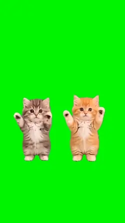 DANCING KITTENS