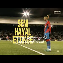 hayal