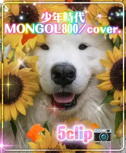 少年時代/MONGOL800