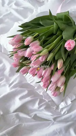 happy women's day💐