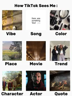 How Tiktok Sees Me