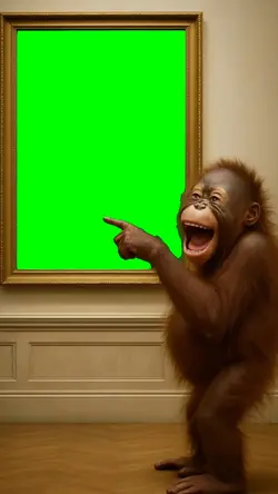 FUNNY MONKEY