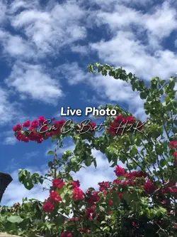 Live Photo