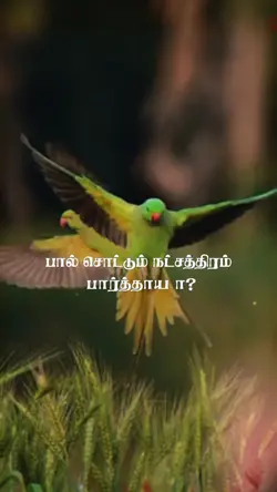 Tamil Song template