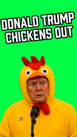 DONALD TRUMP CHICKEN