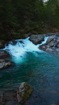 Nature therapy