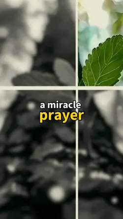 A MIRACLE PRAYER