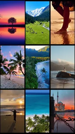 Travel dump