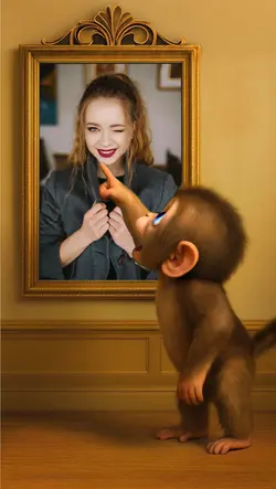 Funny Monkey 
