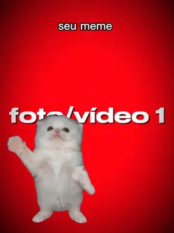 gatinho dançando