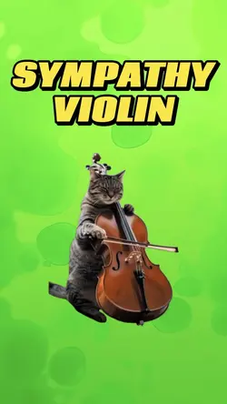 Sympathy Violin 