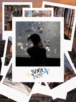 Junio Dump