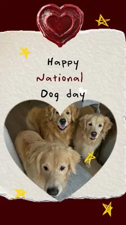 National dog day 