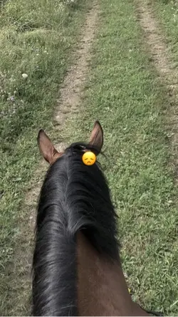 ❤️‍🩹