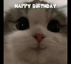 happy birthday 