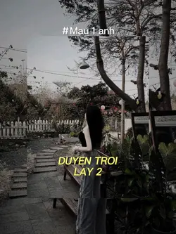 Mẫu 1 ảnh