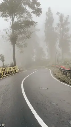 Kabut