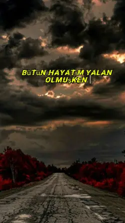 duygusal şablon 