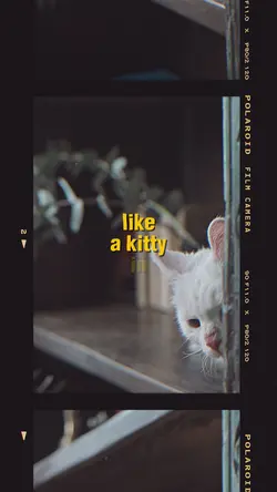 Like a Kitty lyrics 