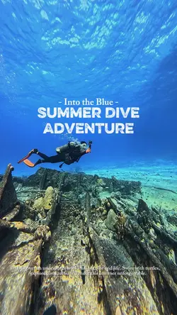 Summer Diving 