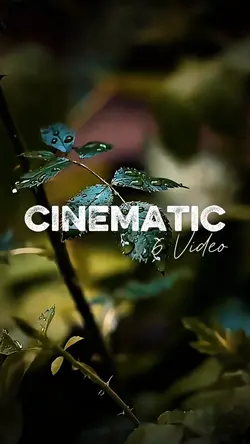 cinematic 6 clip