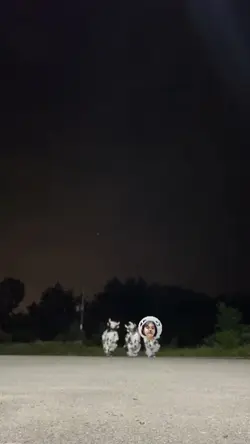 Mooo~