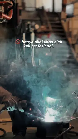 profesional