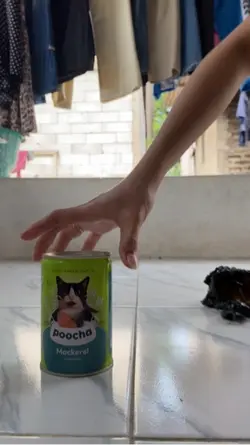 Makanan kucing basah