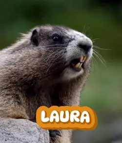 LAURA