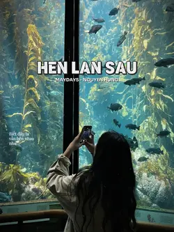 Hẹn Lần Sau