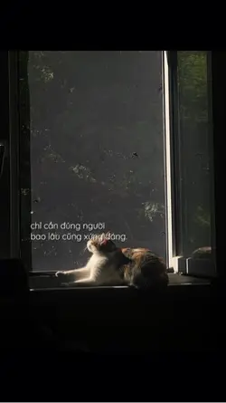 caption 