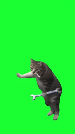 mechanic cat
