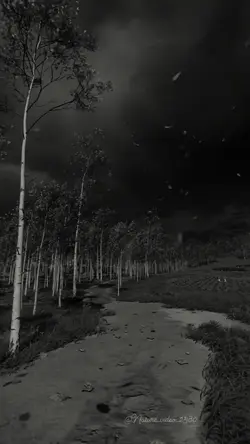 Dark slowmotion